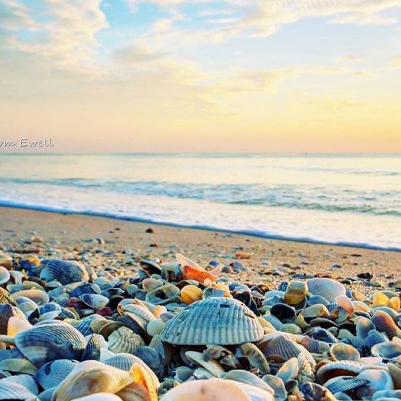 Meet your Posher, Jackie - Picture 1 of 1